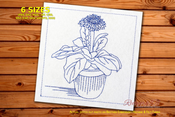 Fresh Garbera Daisies Flower in Pot Review